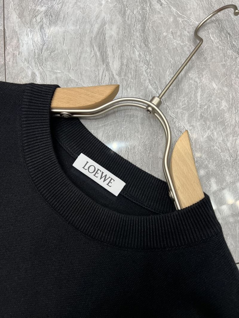 Loewe Sweaters